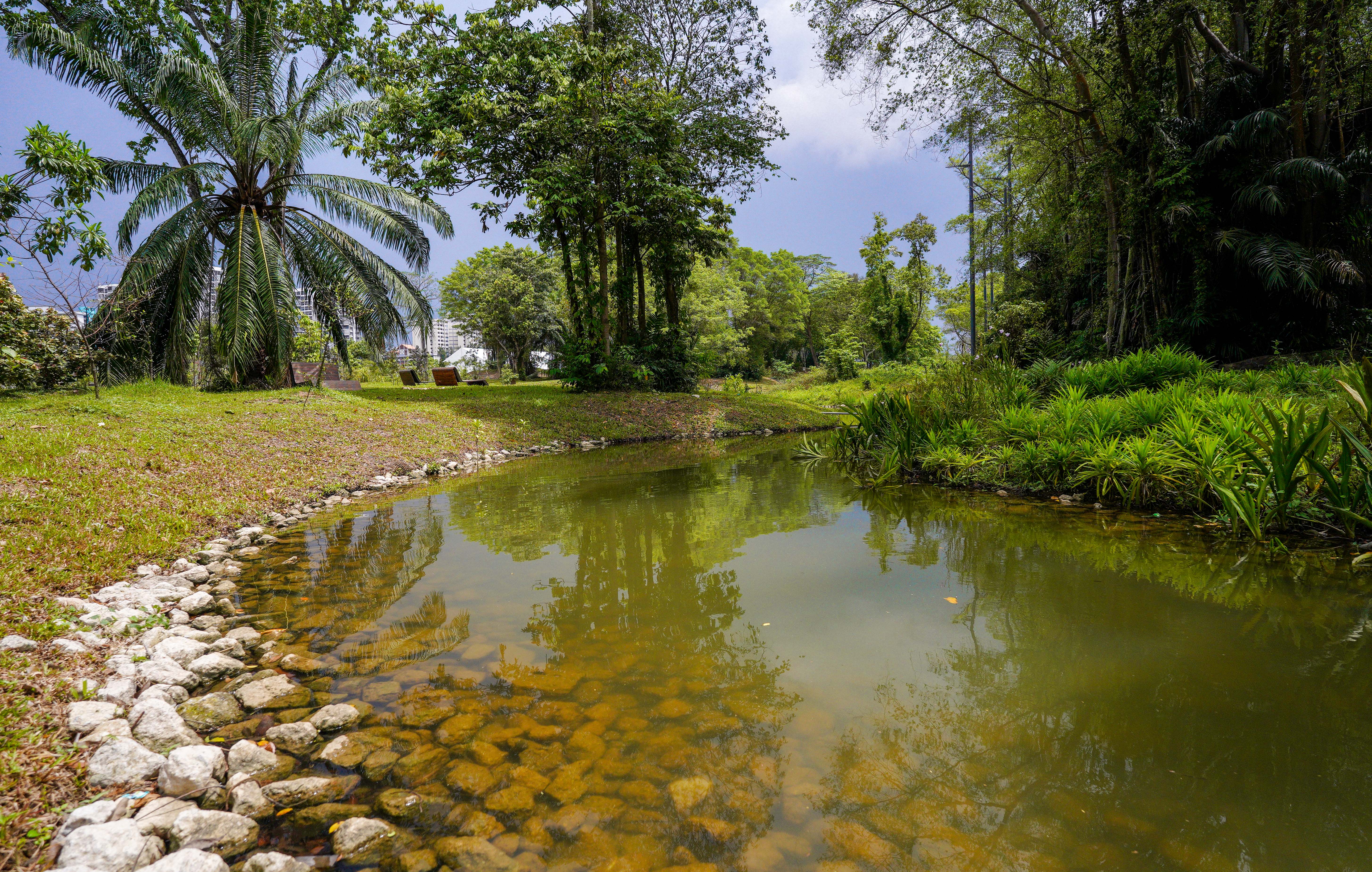 A calm pond with clear water, surrounded by lush green vegetation and trees, with rocks lining the shore.